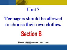 Teenagers should be allowed to choose their own clothesPPTμ8