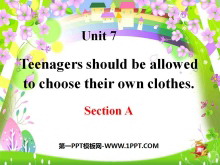 Teenagers should be allowed to choose their own clothesPPTμ15
