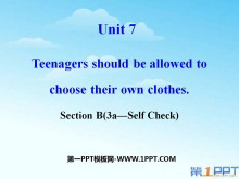 Teenagers should be allowed to choose their own clothesPPTμ18
