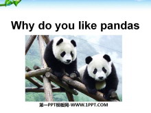 Why do you like pandas?PPTμ2
