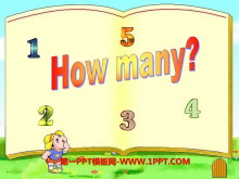How many?PPTμ2