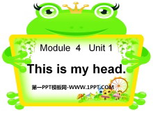 This is my headPPTμ3