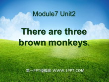 There are three brown monkeysPPTμ