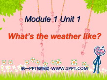 What's the weather like?PPTμ2