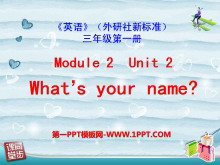 Whats your name?PPTμ3