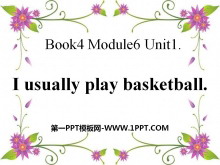 I usually play basketballPPTμ2