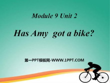 Has Amy got a bike?PPTμ3