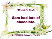 Sam had lots of chocolatesPPTμ