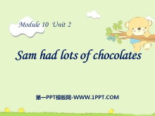 Sam had lots of chocolatesPPTμ2