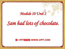 Sam had lots of chocolatesPPTμ3