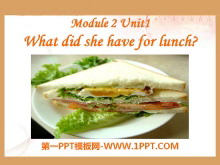 What did she have for lunch?PPTμ3