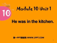 He was in the kitchenPPTμ