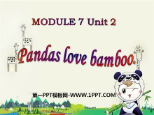 Pandas love bambooPPTμ5