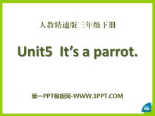 It's a parrotPPTμ3