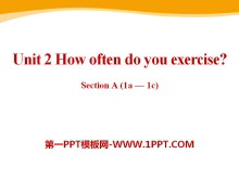How often do you exercise?PPTμ17